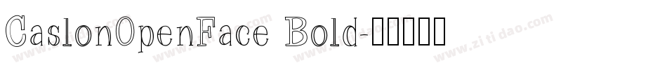CaslonOpenFace Bold字体转换